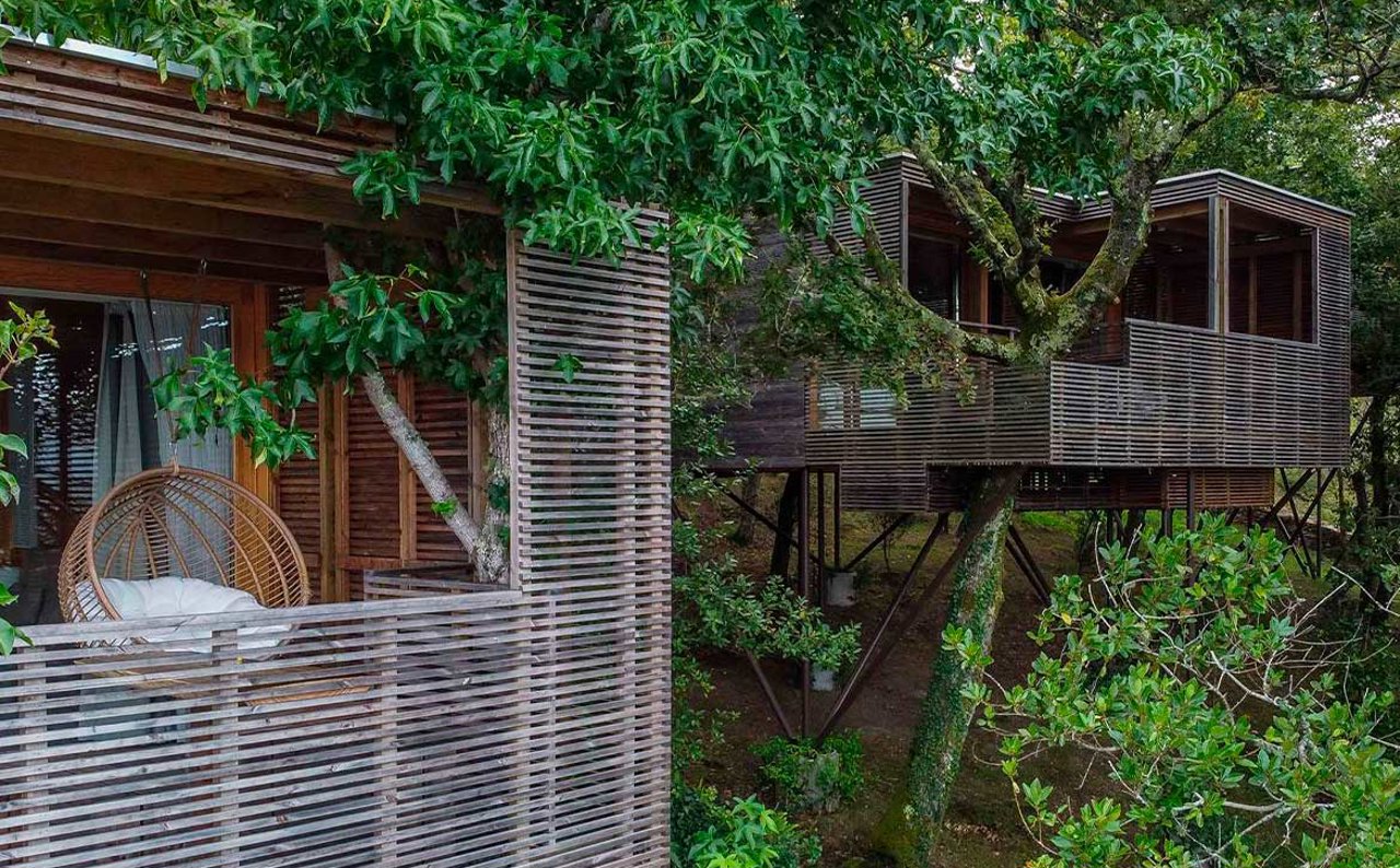 Duerme rodeado de naturaleza en estos hoteles tan especiales entre los árboles