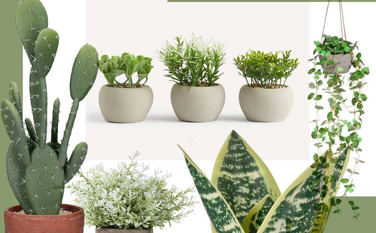 10 plantas artificiales realistas que parecen naturales
