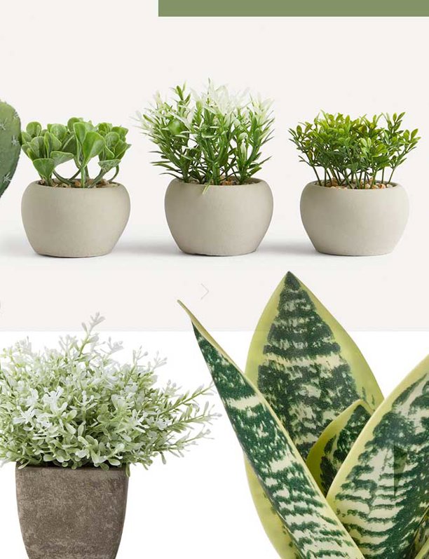 Estas son las plantas artificiales más realistas que puedes encontrar