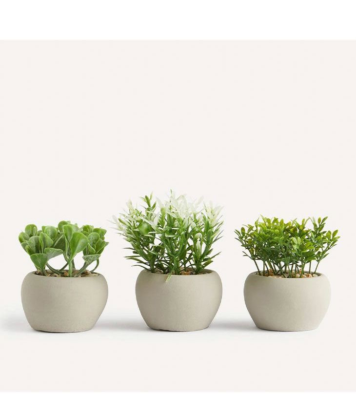 Cuatro tiendas online donde comprar plantas artificiales decorativas para  que nuestro hogar sea un lugar acogedor