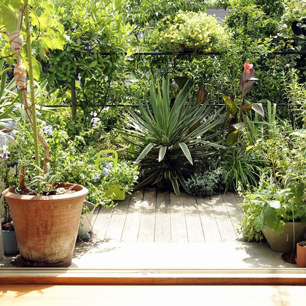 Jardineras colgantes: las plantas serán las protagonistas de tu pequeño balcón