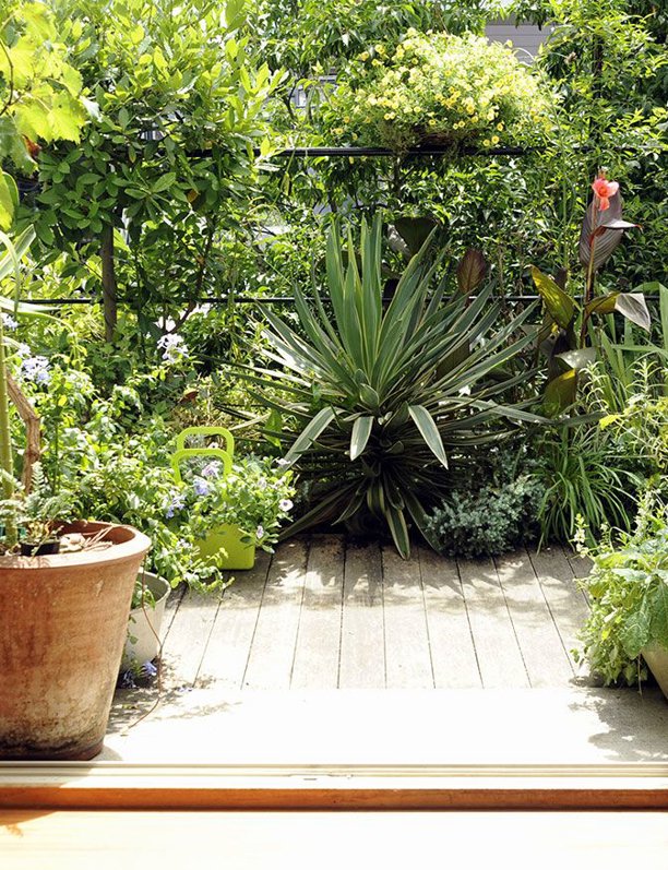 Jardineras colgantes: las plantas serán las protagonistas de tu pequeño balcón