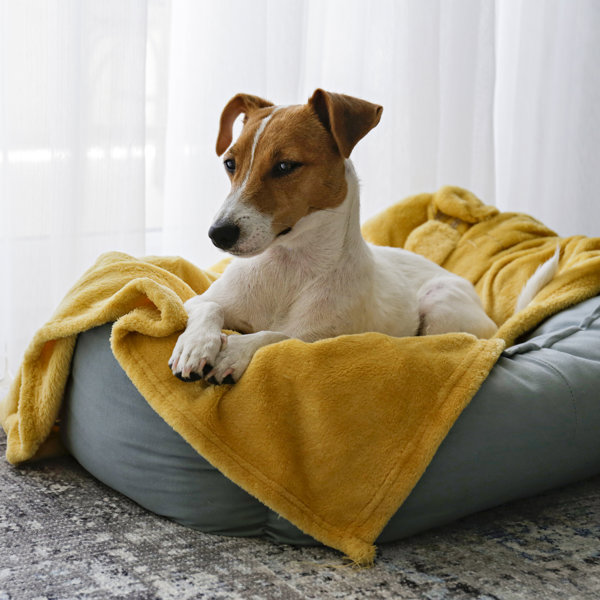 Las 10 camas para mascotas que tu perro y tu decoración necesitan