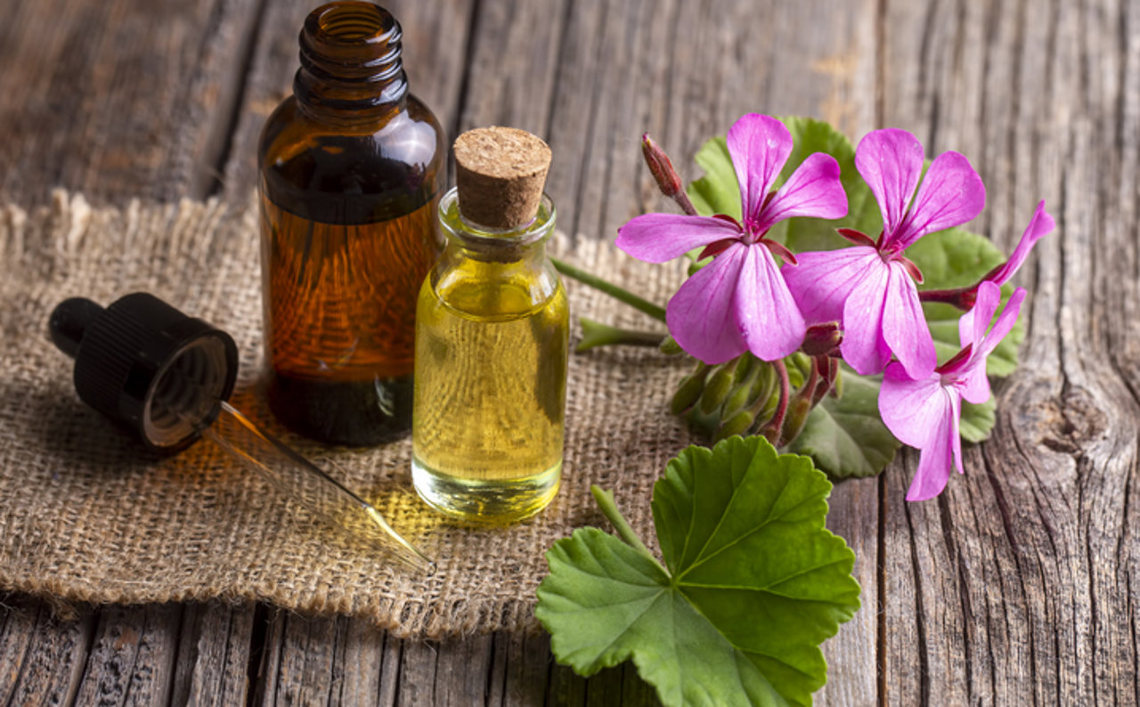 Propiedades de aceites esenciales para difusor - La Casa de los Aromas