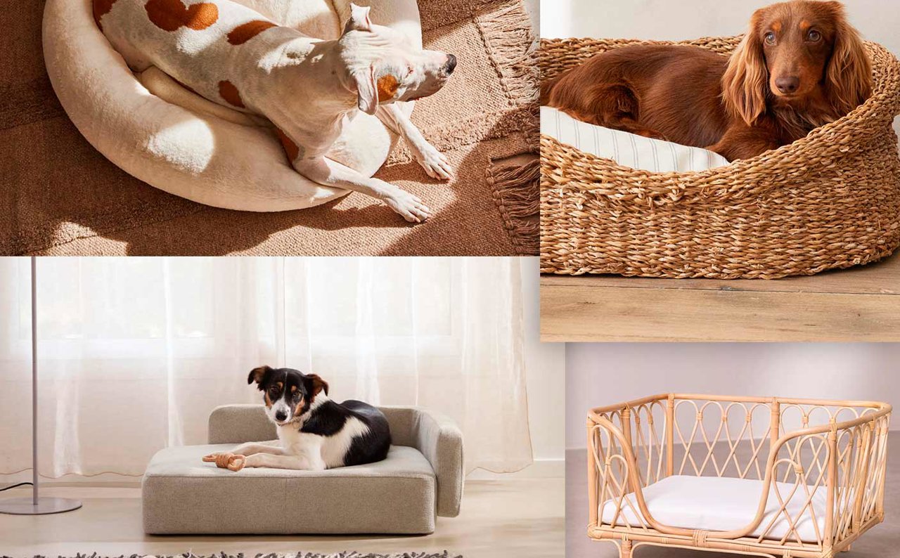 Tu perro y la decoración de tu casa seguro que quieren estas camas para mascotas tan bonitas como prácticas
