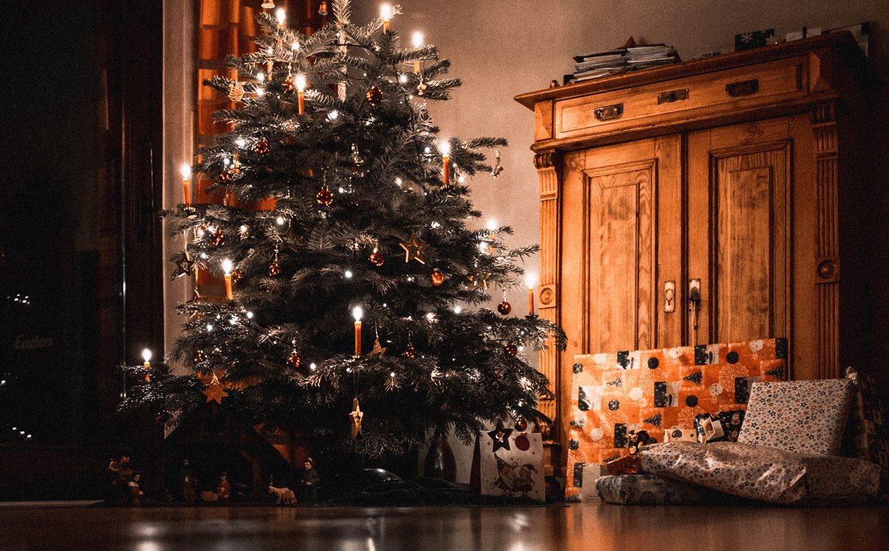 ¿Dónde y cómo nació el árbol de Navidad?