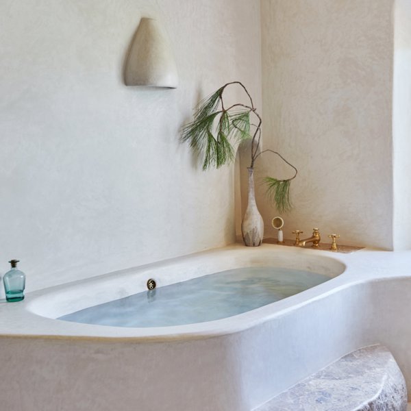 8 plantas para decorar el baño y convertirlo en un oasis de frescor y modernidad