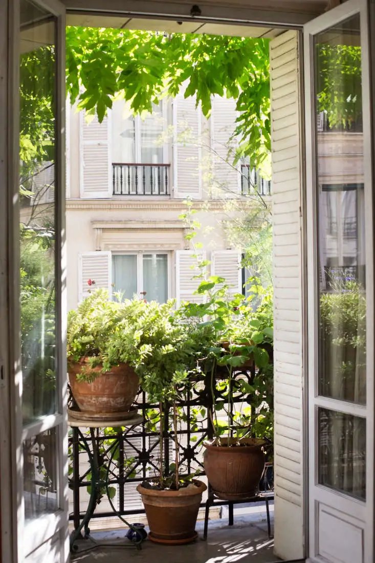 balcón pequeño plantas