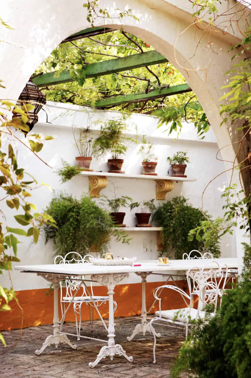 Plantas y macetas en las paredes de este patio blanco