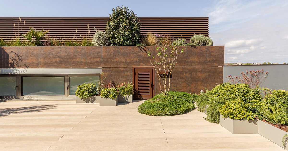 Llevo 18 años trabajando como paisajista y estas son las plantas resistentes a la sequía que más recomiendo para tu terraza