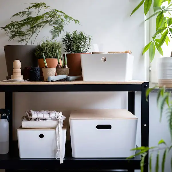 kuggis caja con tapa blanco bambu 