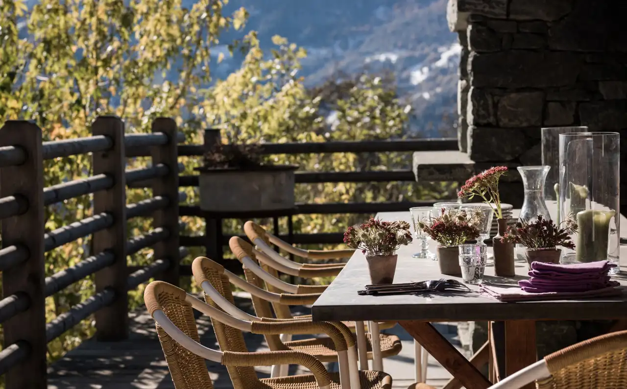 Tu terraza invernal florecerá con esta agradecida planta