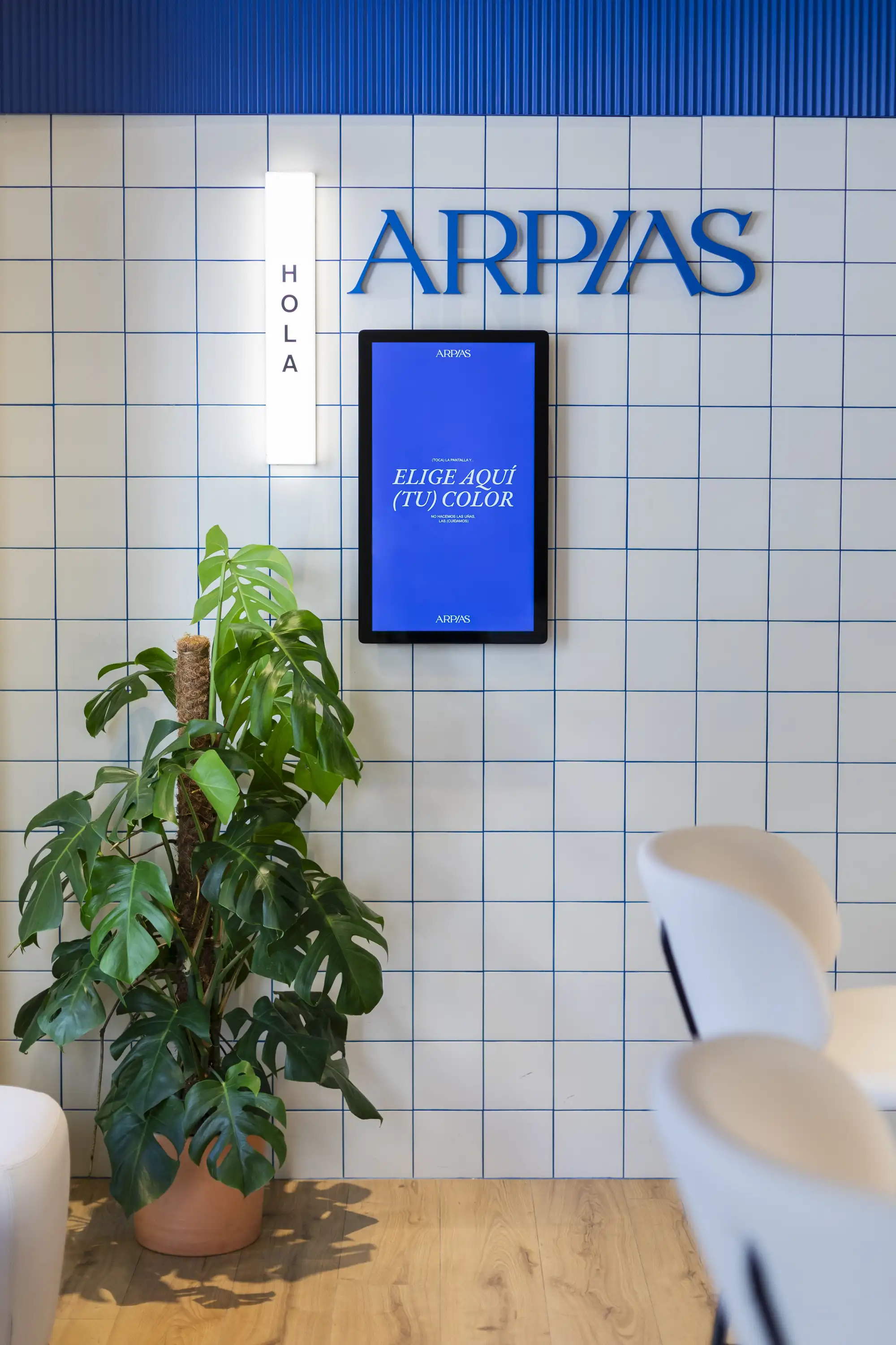 ARPíAS Estudio Córsega (9)