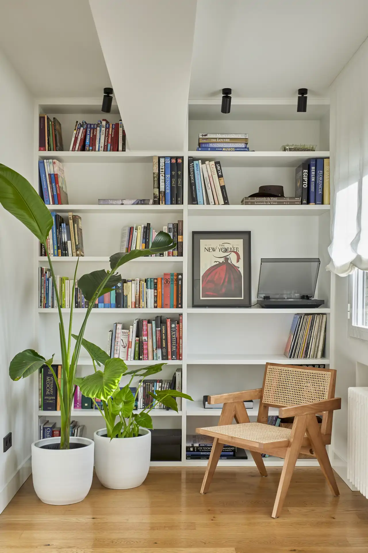 estantería librería biblioteca plantas sillón