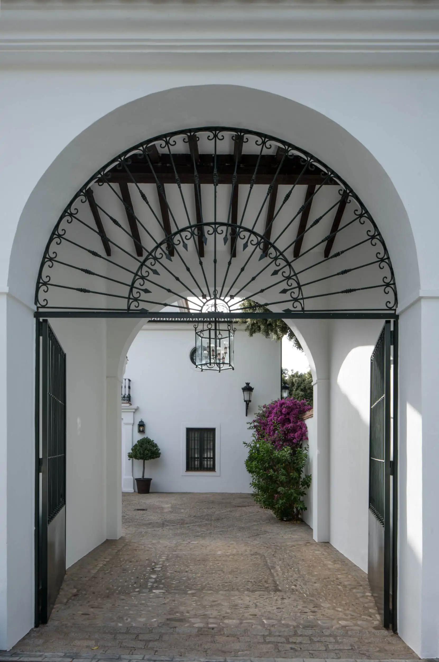 patio casa campo plantas