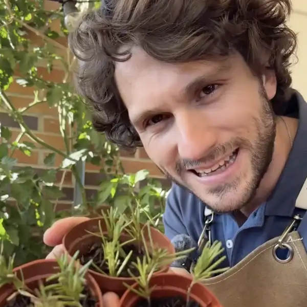 Ignacio Guío, experto en plantas: "Esto hice antes de primavera para duplicar el romero de mi casa"