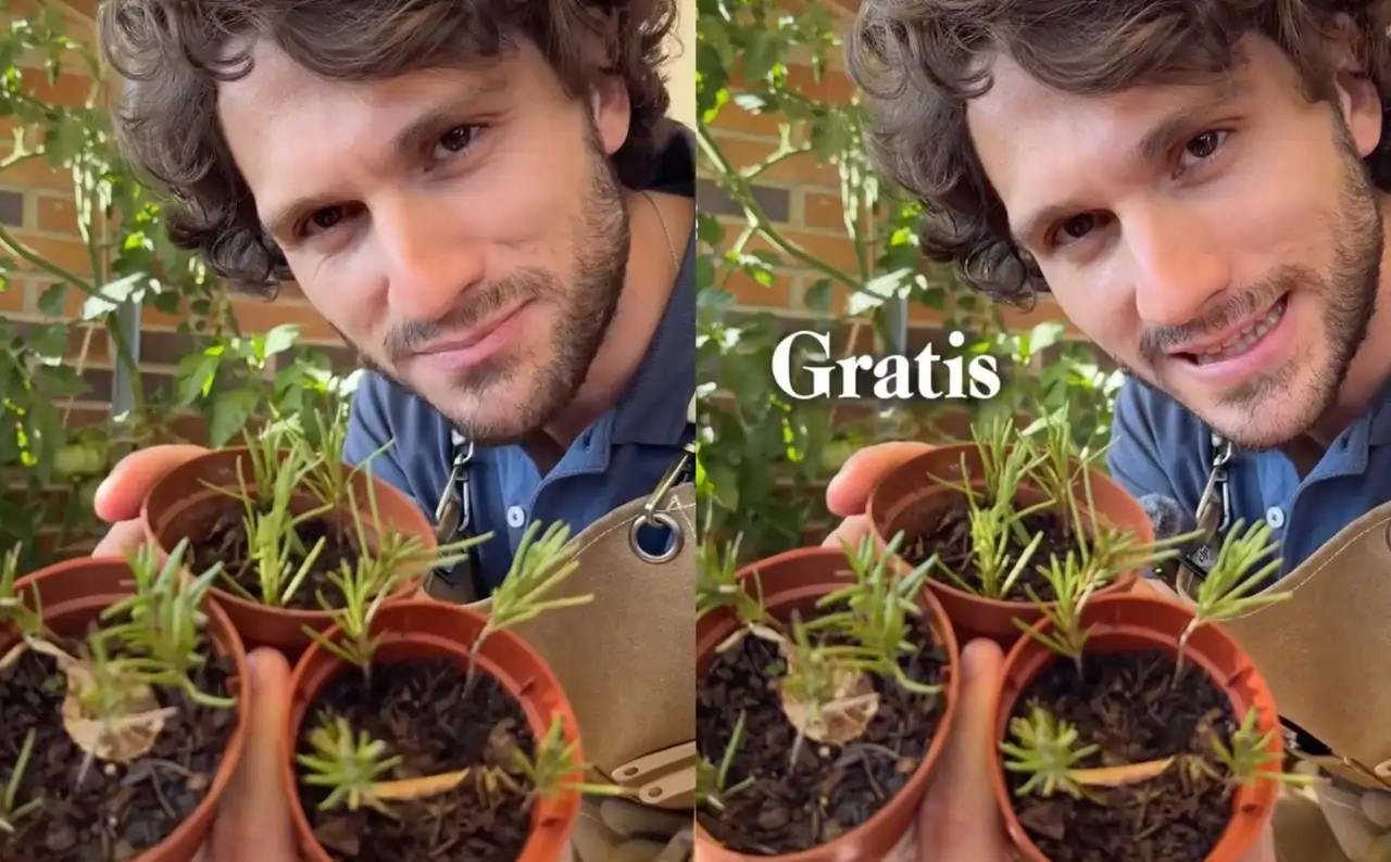 El chico que más sabe de plantas nos ayuda con nuestro romero