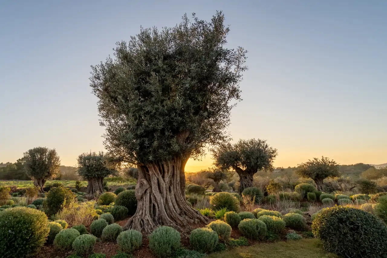 El jardín Beatus Ille presenta una composición compleja que funde los diferentes materiales que se usan con la naturaleza