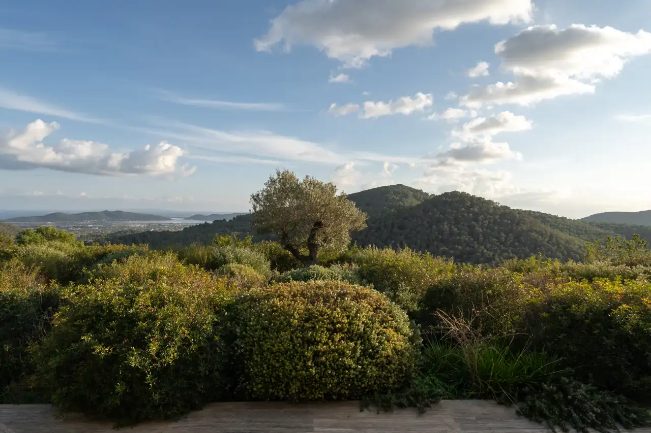 "La búsqueda del equilibrio entre los ángulos rectos en contraposición con las formas de la vegetación que rodea la estructura es la característica principal del jardín Beatus Ille", apuntan desde Estudio Laterna