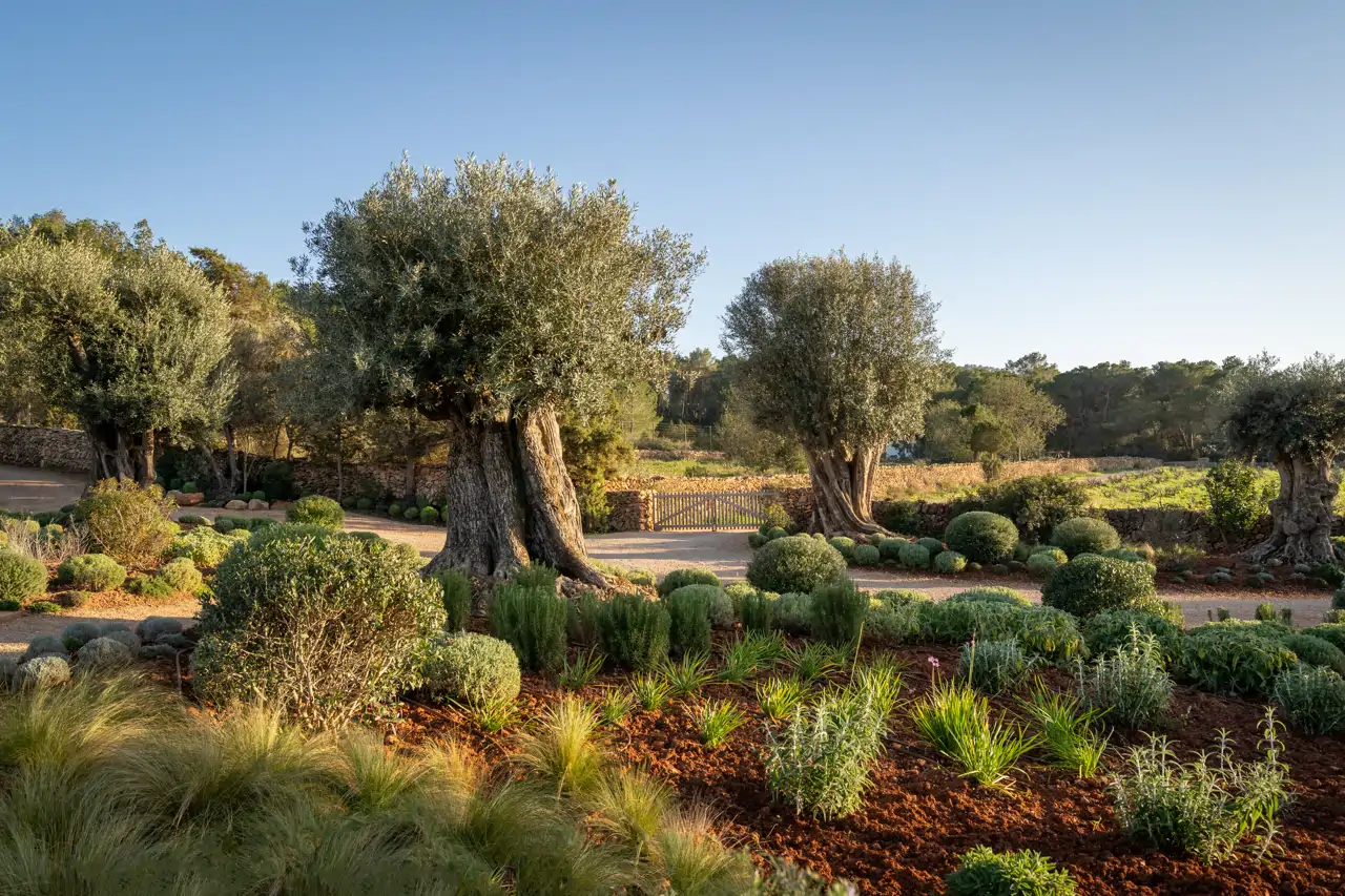 Jardín Can Nicolau. Para Andrea Sánchez, cada jardín es "una instalación viva"