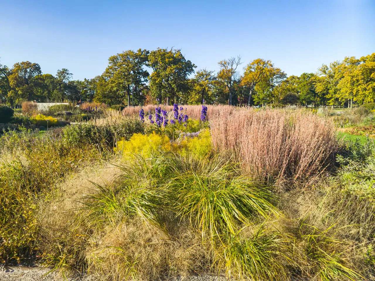 Jardín diseñado por Piet Oudolf dentro del parque Belle Isle State en Detroit, Estados Unidos