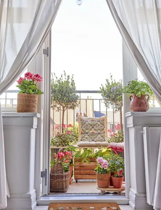 Desde que tengo geranios, soy la envidia del vecindario: así hago crecer la planta con flor protagonista en balcones de 'abuela' y patios andaluces