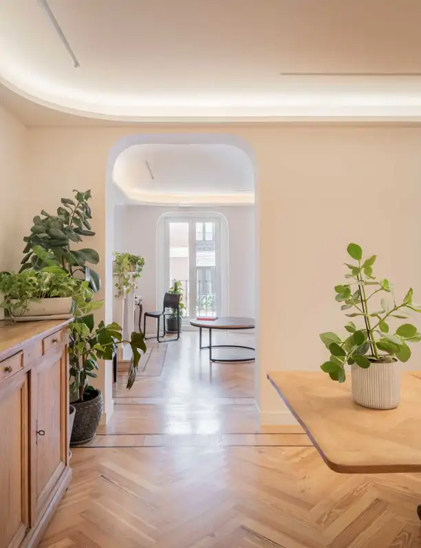 20 plantas colgantes y resistentes de interior para decorar casas y pisos pequeños