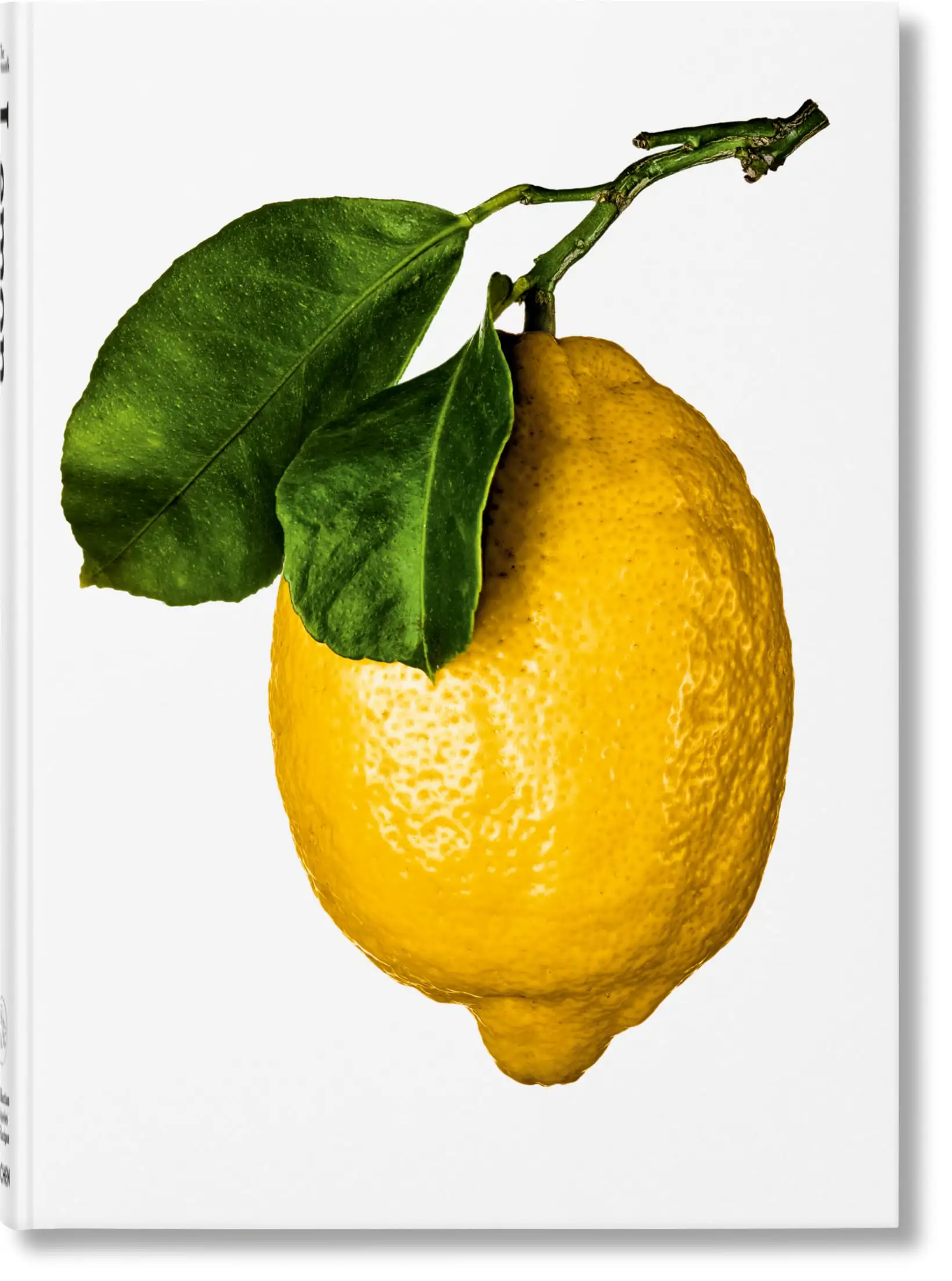 Libro decorativo