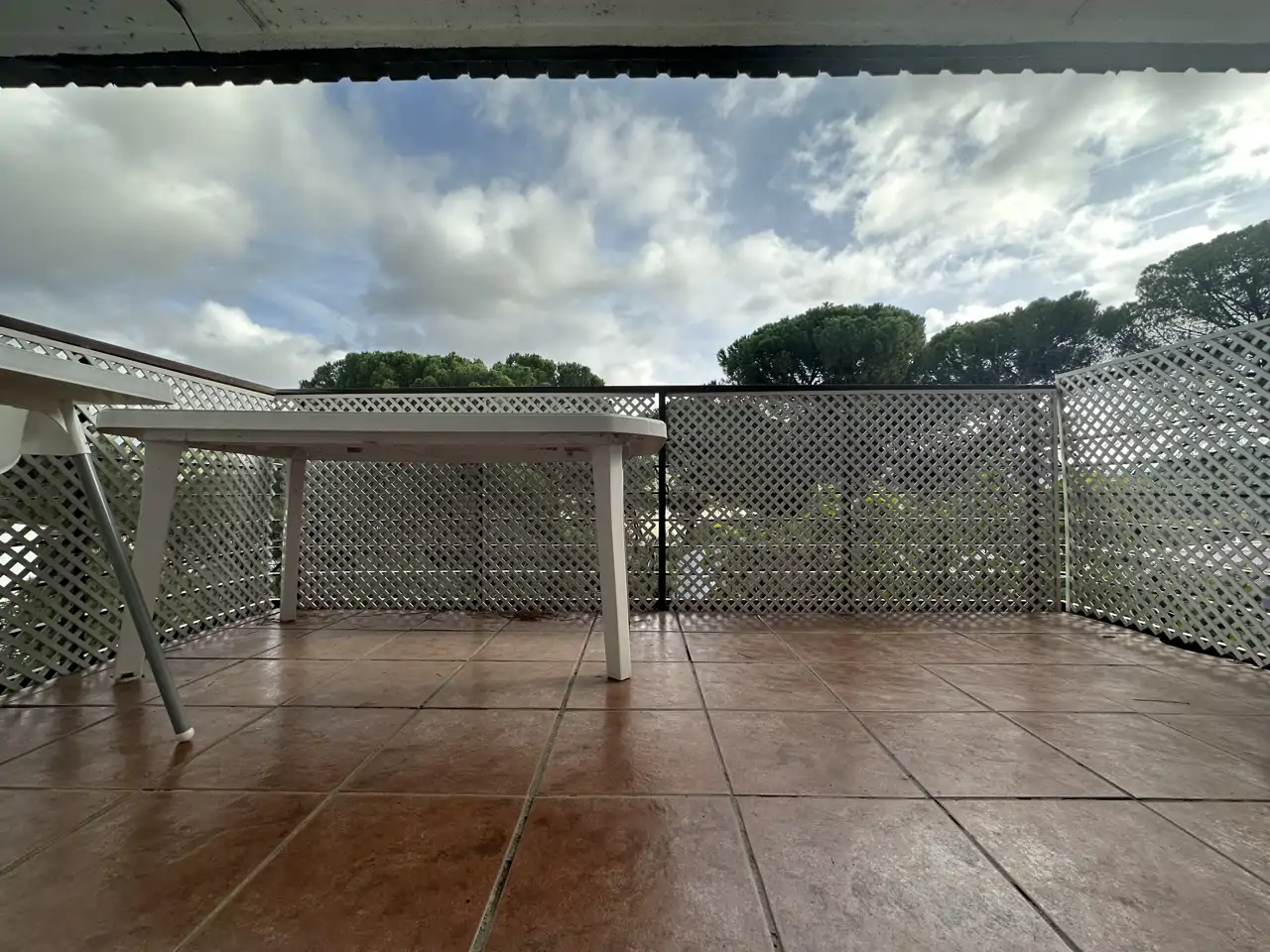1 A   Alberto Torres Pantano IV terraza 2