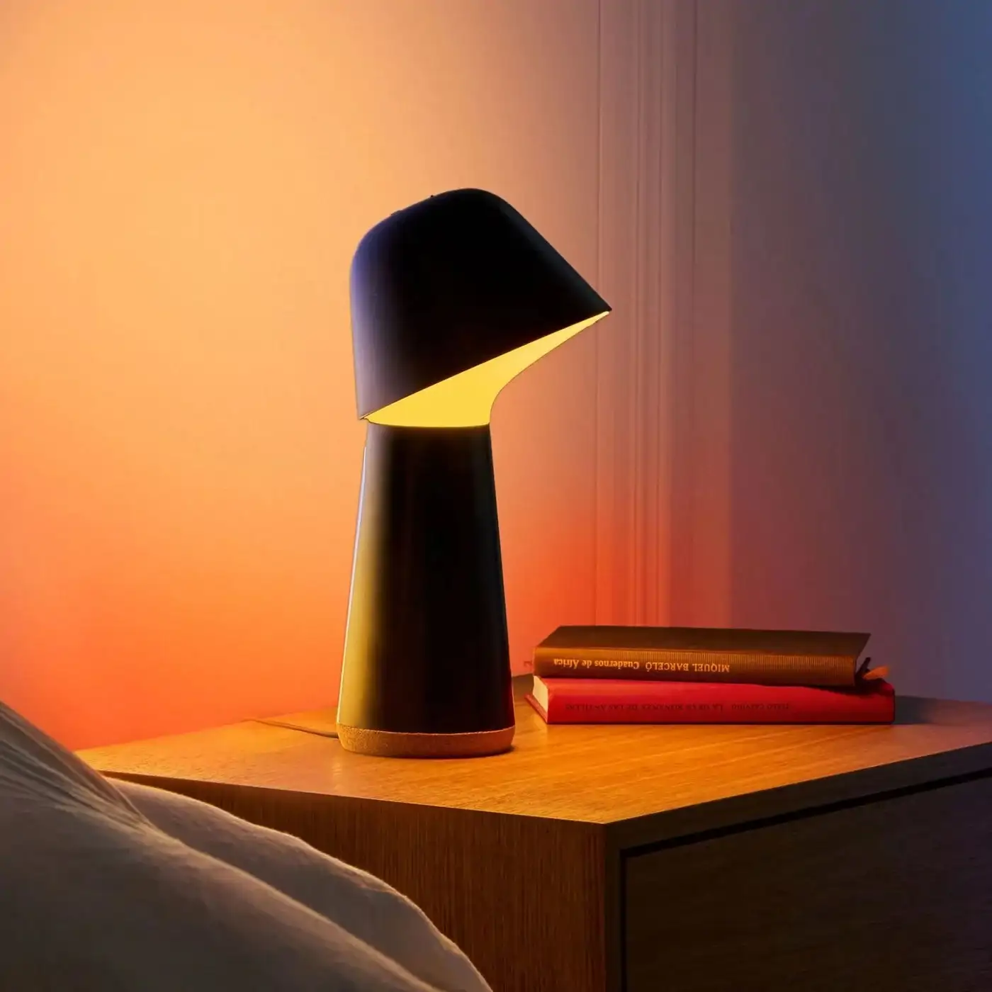 Philips Hue Twilight 2