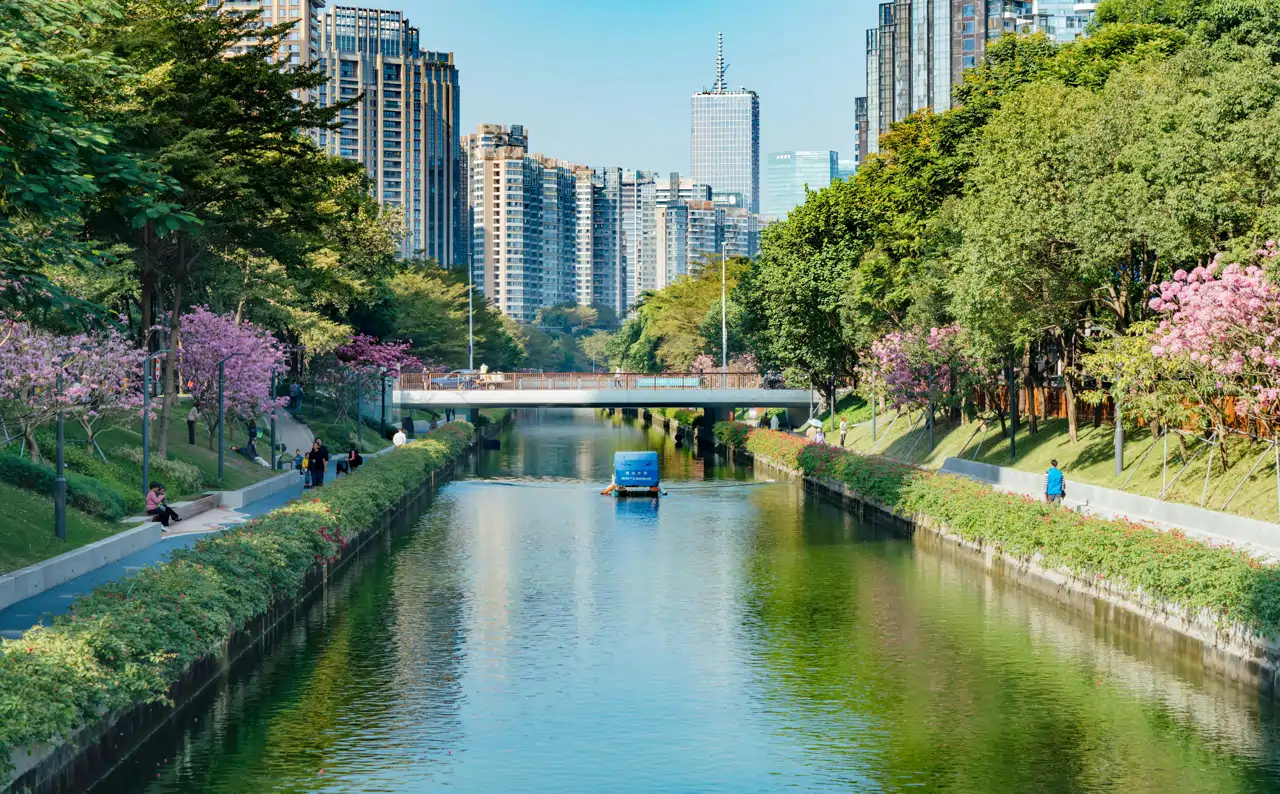 Shenzhen, un paraíso inesperado en China.