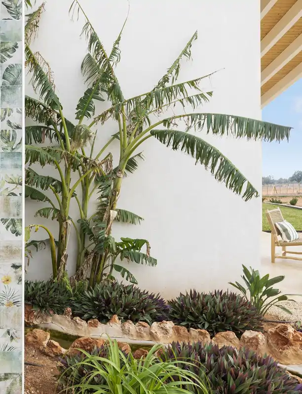 Soy Jaime Salvá, arquitecto, y no pondría estos colores en terrazas, ni en patios ni jardines