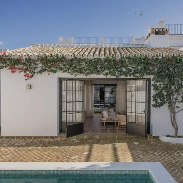 Adiós buganvilla: esta es la planta trepadora de crecimiento rápido que enamora para decorar terrazas y jardines