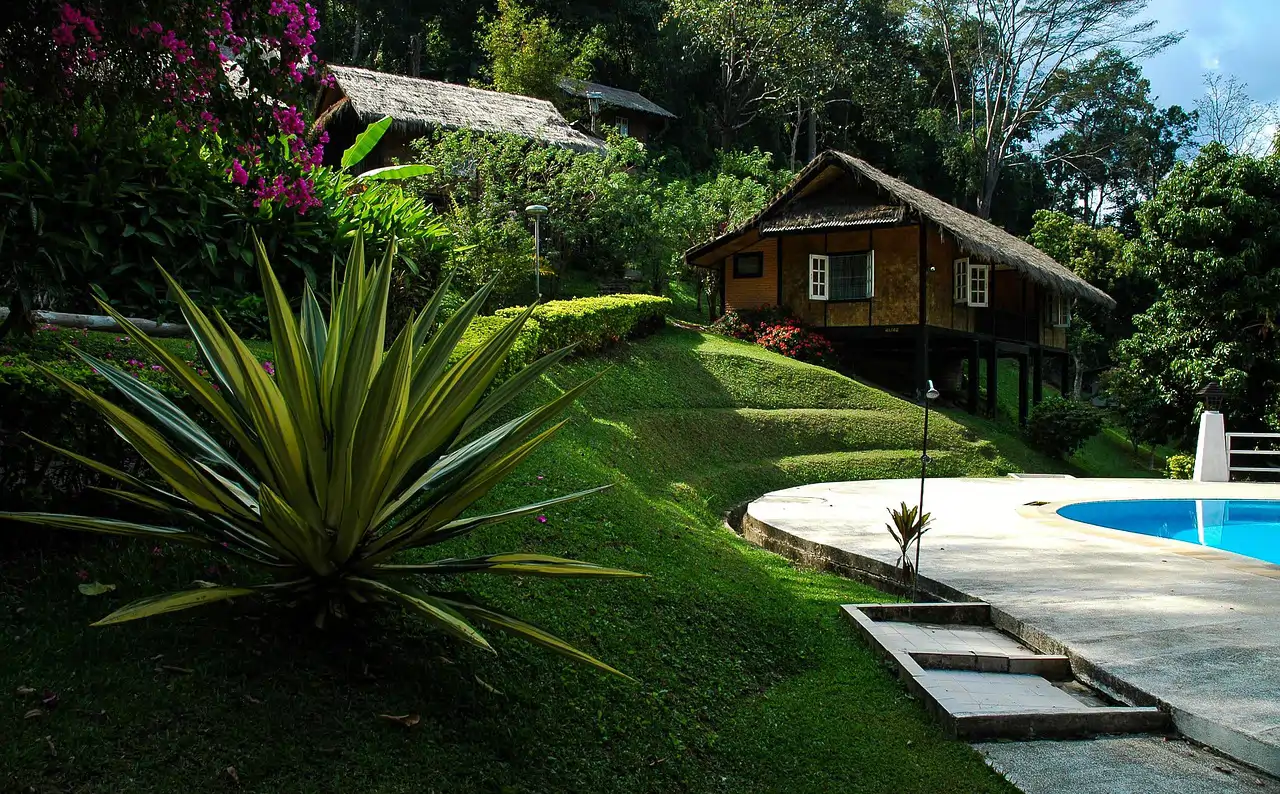 La planta pita o agave es ideal para jardines con mucho espacio donde pueda crecer y expandirse