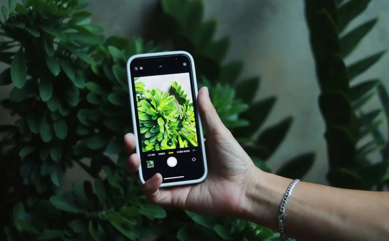 Con estas apps de plantas gratis ninguna se te volverá a morir